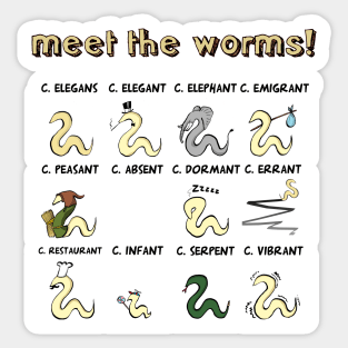 meet the worms Sticker